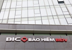 BIC đạt doanh thu phí bảo hiểm gốc cao gấp đôi toàn thị trường bảo hiểm phi nhân thọ