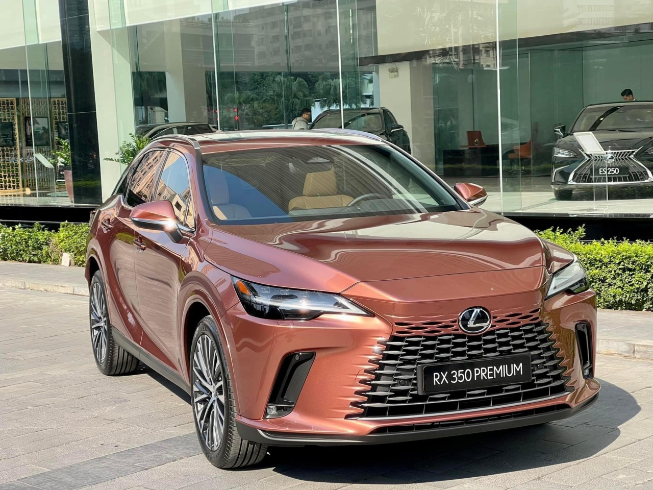 Hình thực tế Lexus RX350 Premium tại Hà Nội