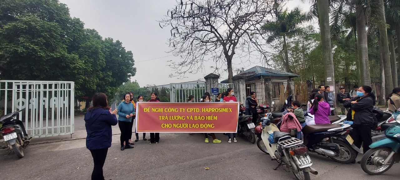 Haprosimex phải bồi thường nếu chậm chi trả quyền lợi khiến người lao động thiệt hại