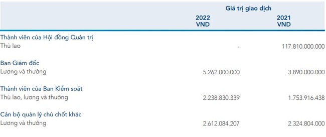 Lợi nhuận năm 2022 giảm sâu, Hòa Phát &quot;cắt&quot; cả trăm tỷ đồng thù lao của hội đồng quản trị  ảnh 1