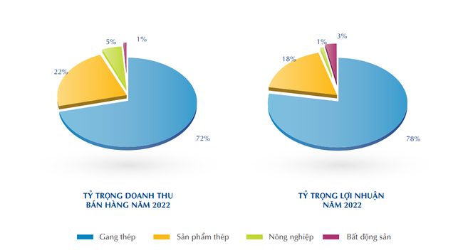 Từng khẳng định &quot;sớm muộn cũng phải đa ngành&quot;, vì sao Hòa Phát lại cắt bớt đầu tư bất động sản? ảnh 1