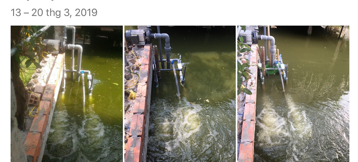 ​​​​​​​Giải pháp tăng oxy và giảm tảo trong ao bằng phương pháp vật lý