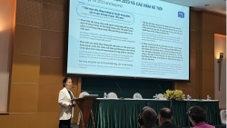 Năng lượng gặp khó, REE đặt mục tiêu mảng bất động sản tăng vọt 60%