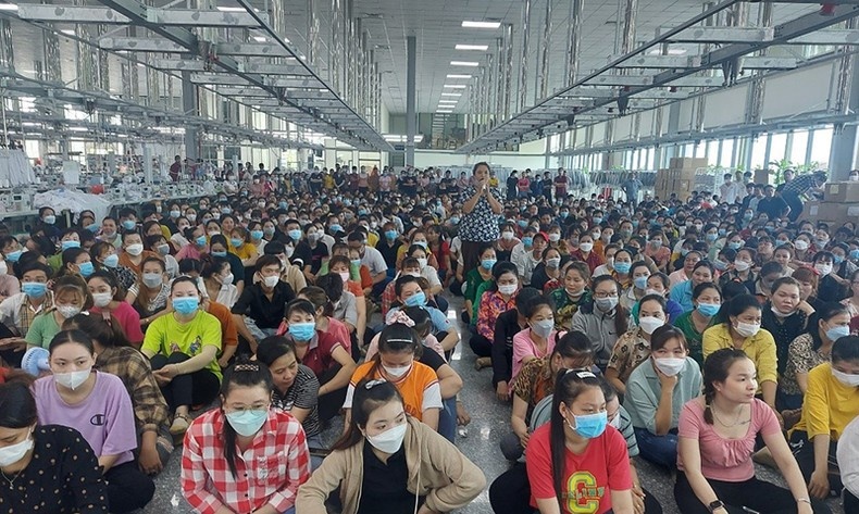 Công đoàn Long An: Nâng cao năng lực cán bộ về pháp luật để bảo vệ người lao động Công đoàn Long An: Nâng cao năng lực cán bộ về pháp luật để bảo vệ người lao động