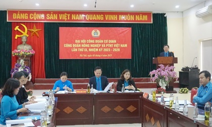 Đại hội Công đoàn cơ quan Công đoàn Nông nghiệp và PTNT Việt Nam lần thứ IX Đại hội Công đoàn cơ quan Công đoàn Nông nghiệp và PTNT Việt Nam lần thứ IX