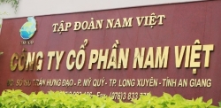 Một tập đoàn thuỷ sản có tiếng giải thể công ty bất động sản chỉ sau một năm thành lập