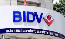 Ngân hàng BIDV lựa chọn tổ chức thẩm định giá đối với khoản nợ của Công ty TMDV Mỹ Mỹ
