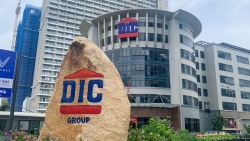 DIG muốn sáp nhập 2 công ty con DIC Commerce và DIC Vision