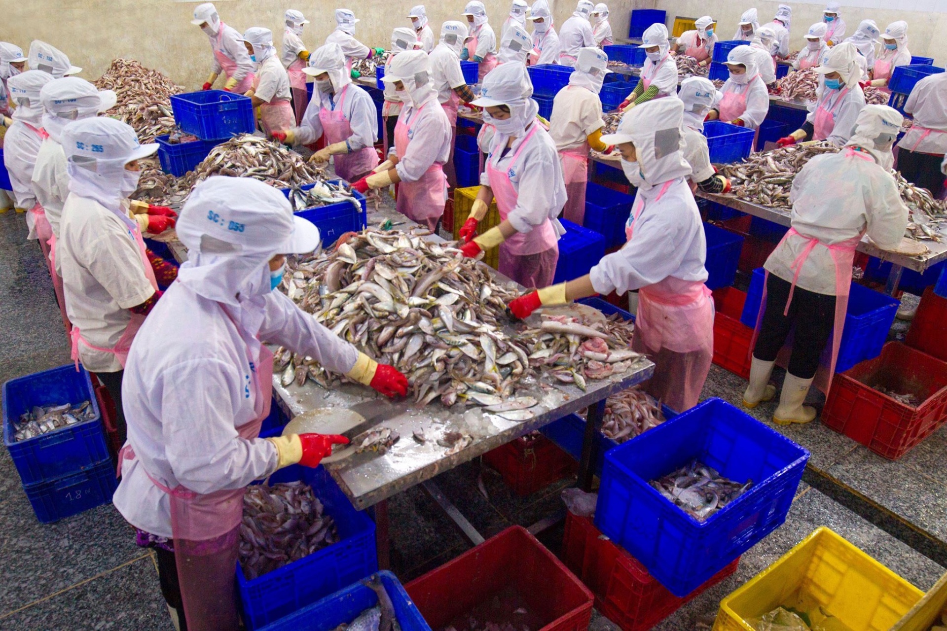 Sóc Trăng: Nỗi lo của doanh nghiệp về nguồn lao động vừa thừa, vừa thiếu Sóc Trăng: Nỗi lo của doanh nghiệp về nguồn lao động vừa thừa, vừa thiếu