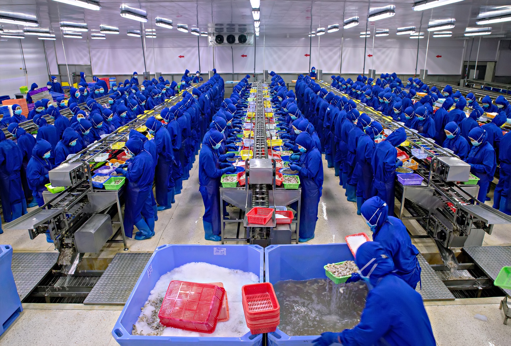 Sóc Trăng: Nỗi lo của doanh nghiệp về nguồn lao động vừa thừa, vừa thiếu Sóc Trăng: Nỗi lo của doanh nghiệp về nguồn lao động vừa thừa, vừa thiếu