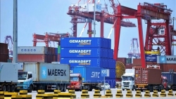 Gemadept lãi hơn 1.200 tỷ từ bán vốn Cảng Nam Hải Đình Vũ cho Viconship