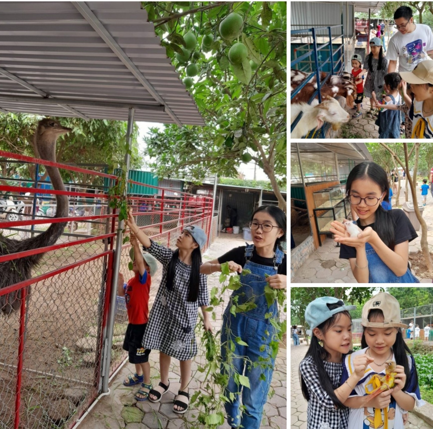 Kỳ nghỉ lễ ngon – bổ - rẻ, đầy thú vị chưa đến 2 triệu của bà mẹ 4 con Kỳ nghỉ lễ ngon – bổ - rẻ, đầy thú vị chưa đến 2 triệu của bà mẹ 4 con