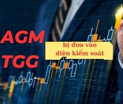 Hai cổ phiếu họ Louis chuẩn bị đưa vào diện kiểm soát