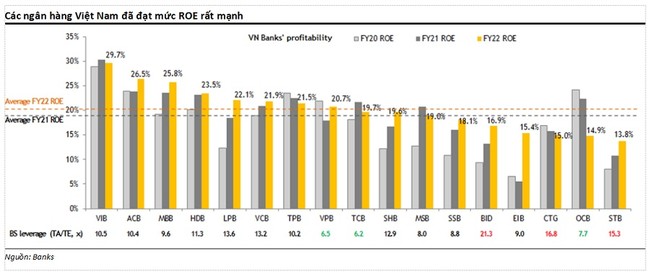 MSVN: Tăng trưởng lợi nhuận các ngân hàng Việt Nam sẽ tạm thời chậm lại trong năm 2023 ảnh 1