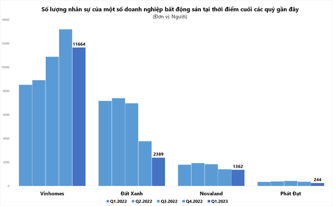 Nhiều doanh nghiệp Nhiều doanh nghiệp "mạnh tay" cắt giảm nhân sự trong bối cảnh kinh doanh kém sắc ảnh 2