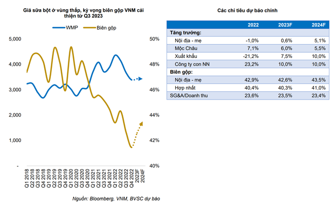 Nghịch lý VNM, "cứu tinh" của thị trường lại đang dò đáy Nghịch lý VNM, "cứu tinh" của thị trường lại đang dò đáy ảnh 3