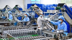 Một số doanh nghiệp lớn phải bán tài sản với giá trị thấp, bị mua lại hoặc sáp nhập