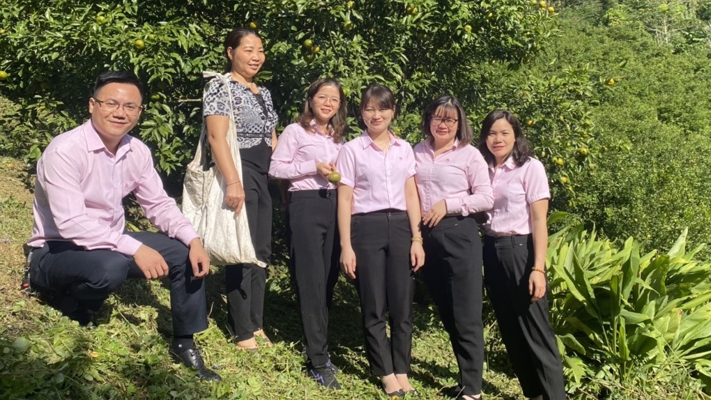 Chi nhánh Ngân hàng Chính sách xã hội tỉnh Bắc Kạn tuyển dụng lao động