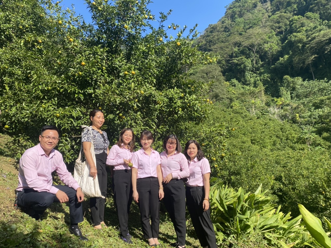 Chi nhánh Ngân hàng Chính sách xã hội tỉnh Bắc Kạn tuyển dụng lao động Chi nhánh Ngân hàng Chính sách xã hội tỉnh Bắc Kạn tuyển dụng lao động