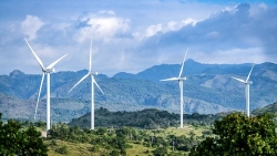 Duyệt giá tạm tính cho 20 dự án điện gió chuyển tiếp