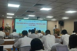 Tổng công ty Điện lực TKV chia cổ tức 5%, công nợ với EVN ở mức 2.000 tỷ đồng