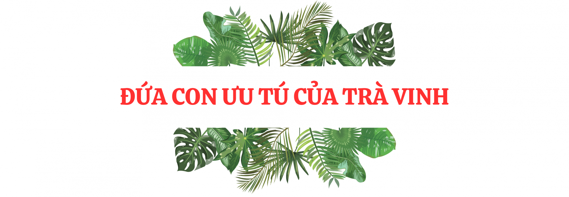 Đội trưởng Huỳnh Như: Người viết cổ tích bằng hiện thực Đội trưởng Huỳnh Như: Người viết cổ tích bằng hiện thực