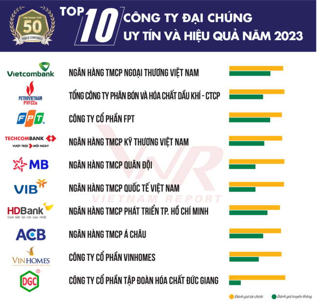 Top 10 công ty đại chúng hiệu quả nhất năm 2023: Ấn tượng HDBank, Đạm Phú Mỹ và Hóa dầu Đức Giang ảnh 2