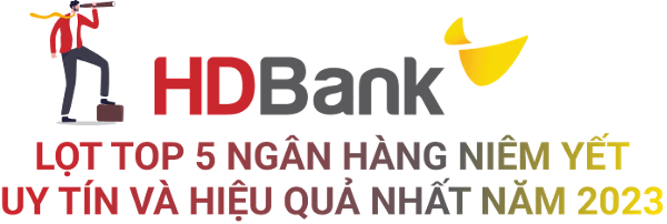 Top 10 công ty đại chúng hiệu quả nhất năm 2023: Ấn tượng HDBank, Đạm Phú Mỹ và Hóa dầu Đức Giang ảnh 3