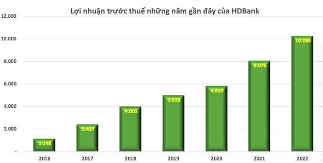 Top 10 công ty đại chúng hiệu quả nhất năm 2023: Ấn tượng HDBank, Đạm Phú Mỹ và Hóa dầu Đức Giang ảnh 5