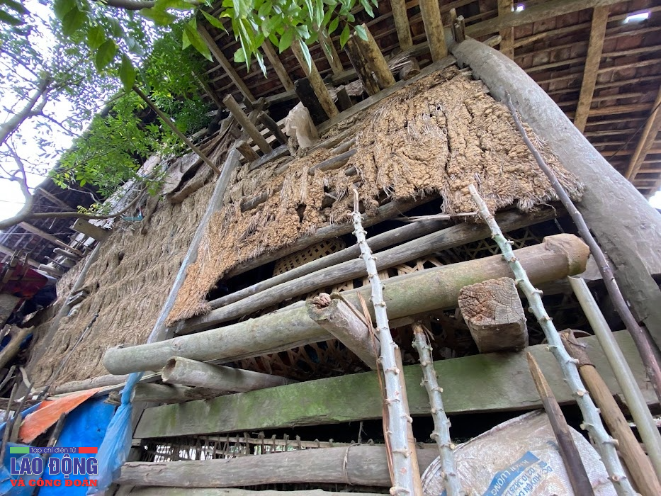 “Người điên”, món nợ ân tình dành cho người tỉnh - Bài 1: Người đàn ông gần 30 năm bị xích cổ “Người điên”, món nợ ân tình dành cho người tỉnh - Bài 1: Người đàn ông gần 30 năm bị xích cổ