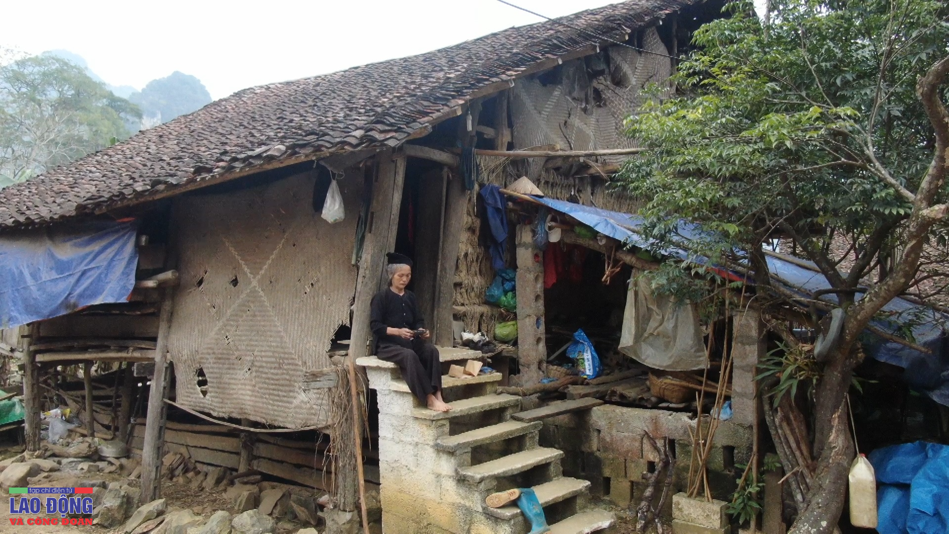 “Người điên”, món nợ ân tình dành cho người tỉnh - Bài 1: Người đàn ông gần 30 năm bị xích cổ “Người điên”, món nợ ân tình dành cho người tỉnh - Bài 1: Người đàn ông gần 30 năm bị xích cổ