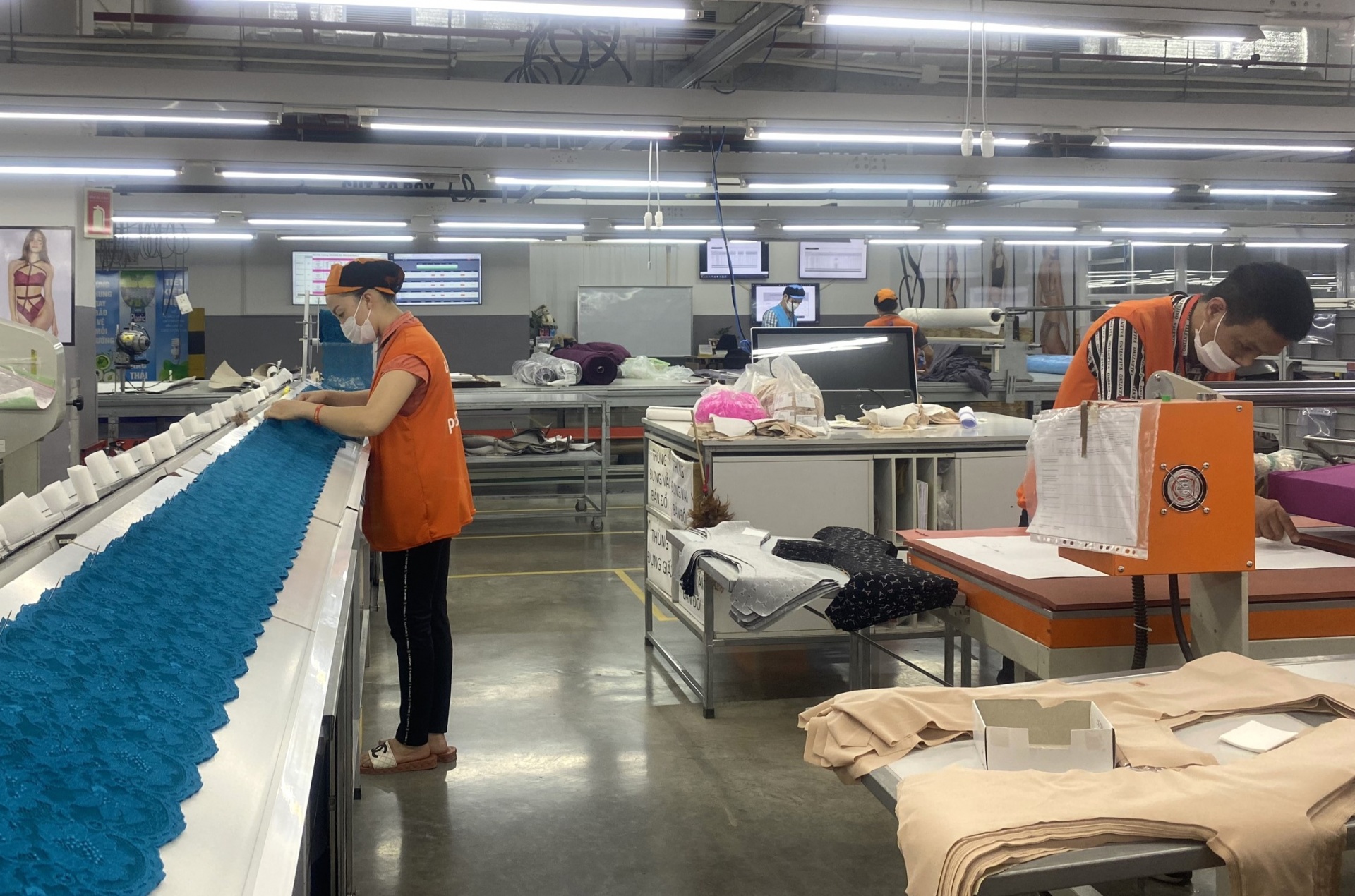 Bài 3: Cơ sở pháp lý về quản lý tổ chức của người lao động tại doanh nghiệp