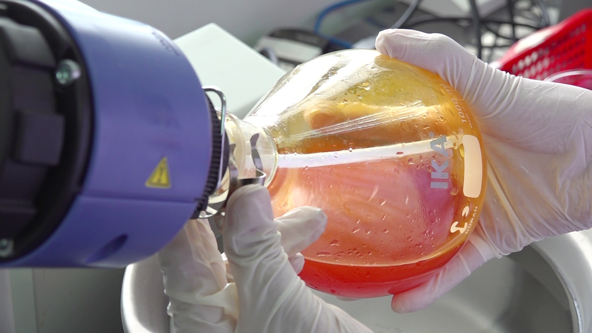 Chuyện chưa kể về nữ Giáo sư của nông dân và đồng ruộng