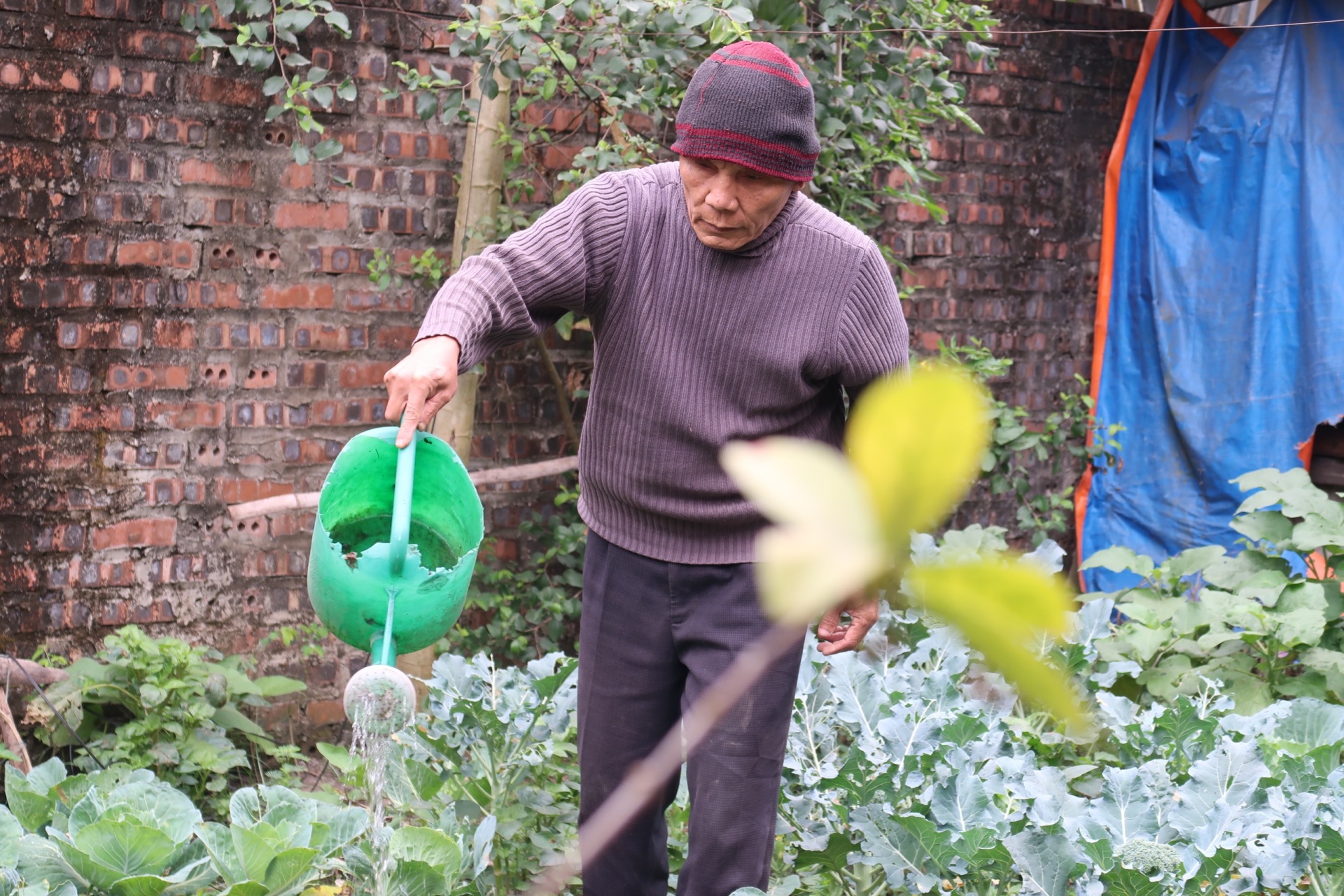 Bài 4: Chỉ cần chút nghĩa đồng bào thôi đã… gần đủ! Bài 4: Chỉ cần chút nghĩa đồng bào thôi đã… gần đủ!