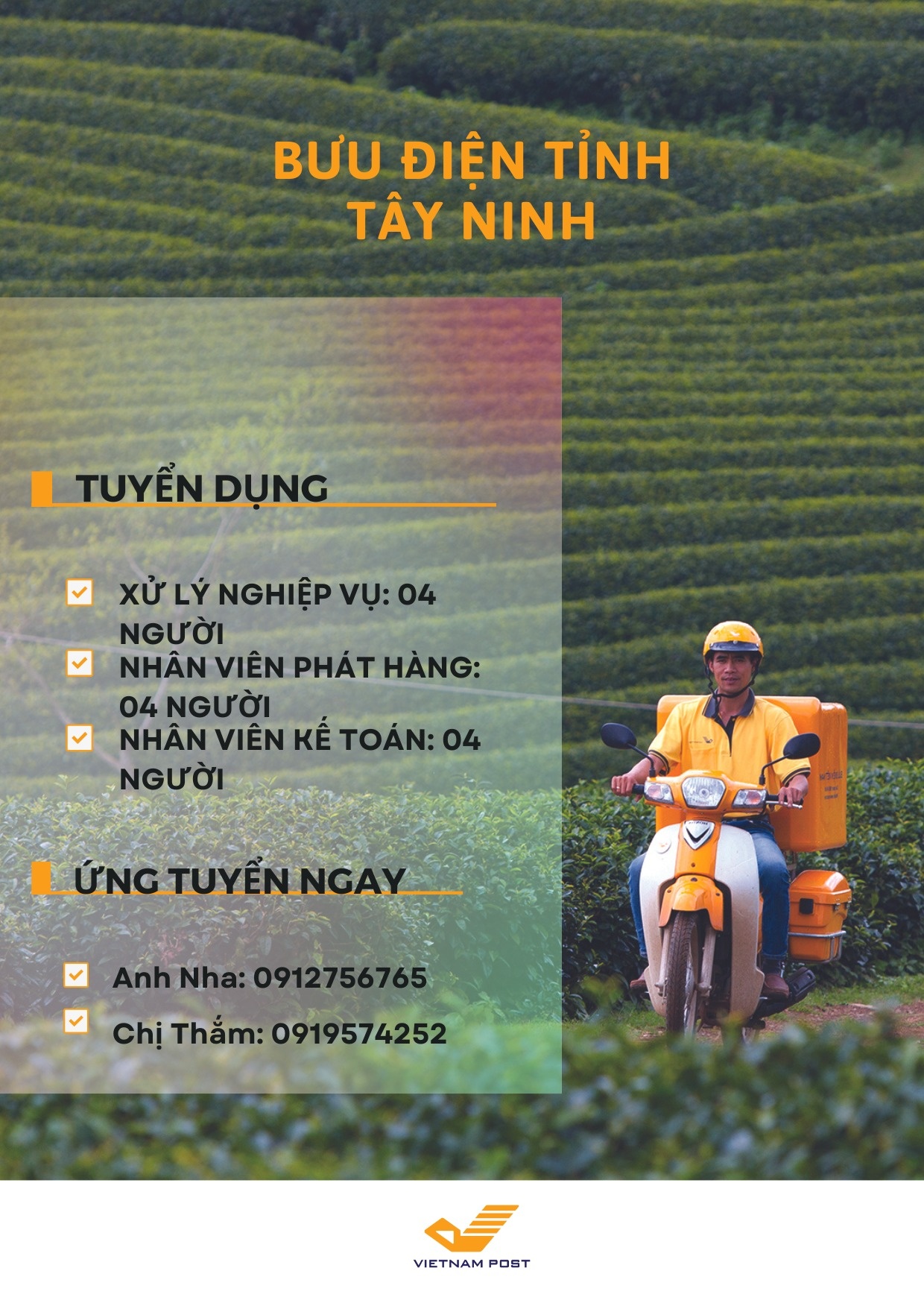 Bưu điện Tây Ninh tuyển dụng nhiều vị trí không yêu cầu kinh nghiệm, bằng cấp Bưu điện Tây Ninh tuyển dụng nhiều vị trí không yêu cầu kinh nghiệm, bằng cấp