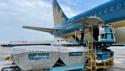 Dịch vụ Hàng hóa Nội Bài trả cổ tức bằng tiền mặt, tỷ lệ 85% năm 2022