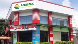 AGM bị phạt hơn 267 triệu đồng do vi phạm công bố thông tin