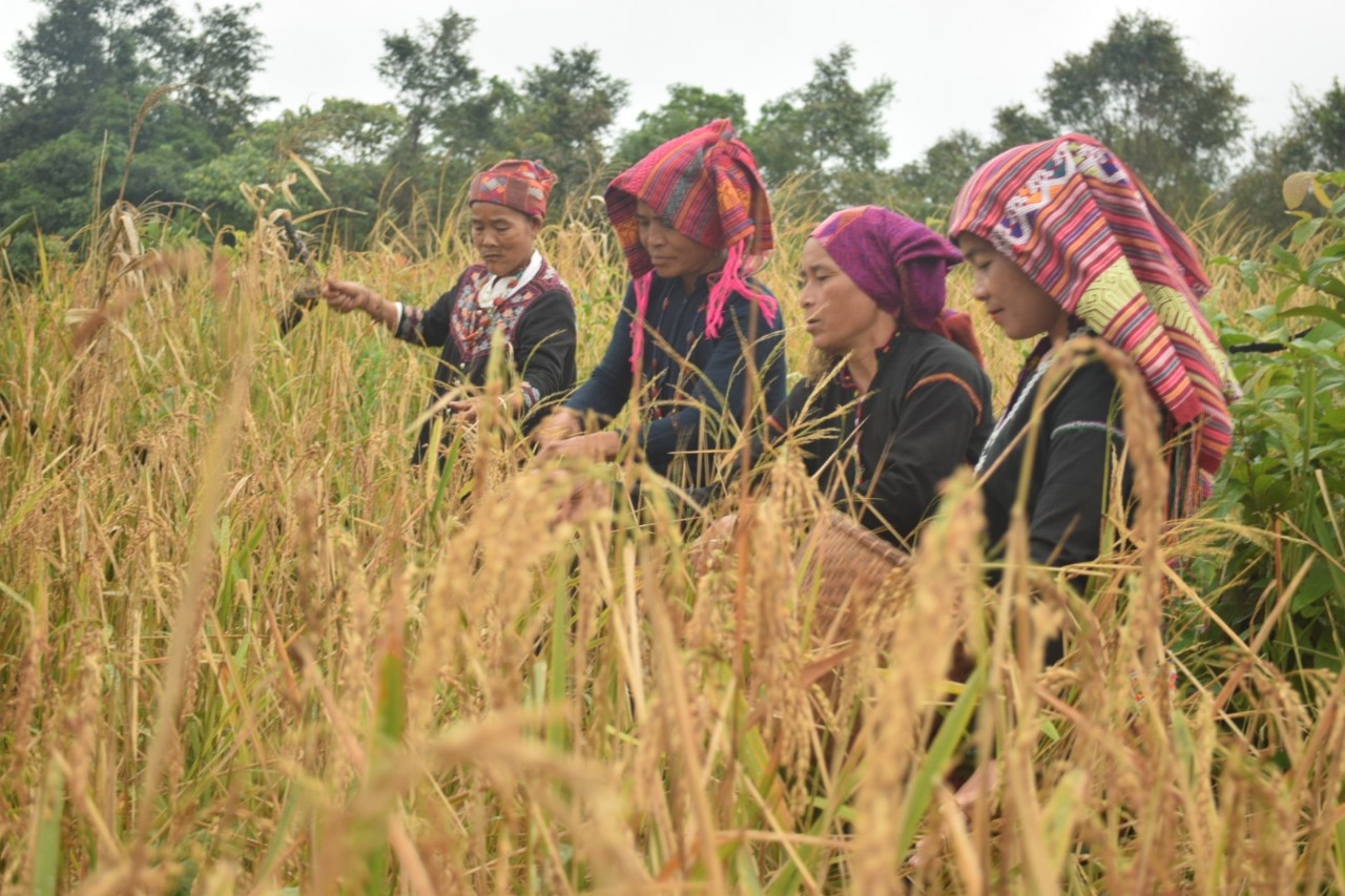 Chiến thắng Khe Sanh:  Nguồn mạch cho sự phát triển