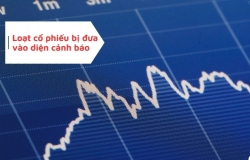 Loạt cổ phiếu niêm yết bị HoSE đưa vào diện cảnh báo
