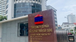 CTCP Đầu tư Phát triển Xây dựng Số 1 (DC1) bị truy thu thuế hơn nửa tỷ đồng