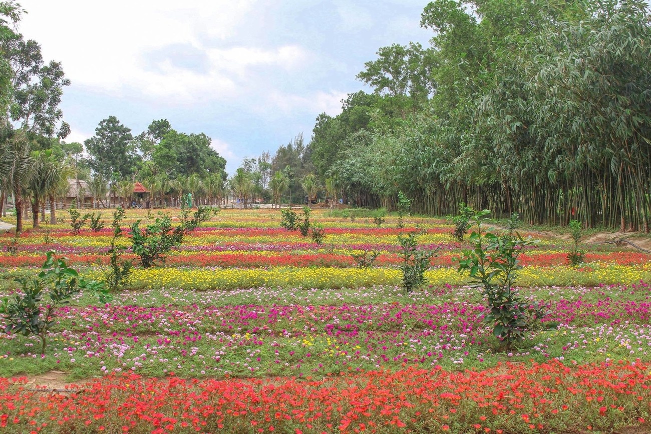 Chiến lược sử dụng nguồn lao động tại chỗ Chiến lược sử dụng nguồn lao động tại chỗ