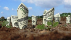 Sẽ giảm 30% tiền thuê đất trong năm 2023