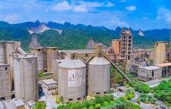 Công ty CP Xi măng Vicem Bút Sơn (BTS) tiếp tục thua lỗ