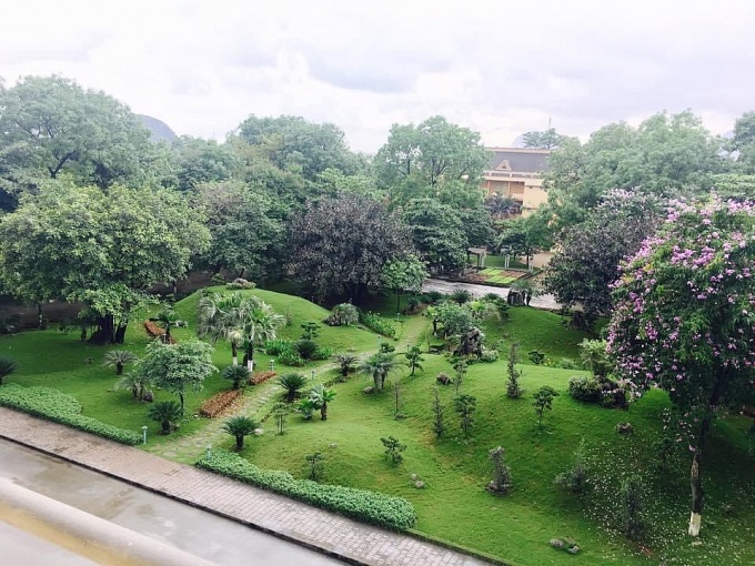 Không gian làm việc xanh cho đoàn viên, người lao động Không gian làm việc xanh cho đoàn viên, người lao động