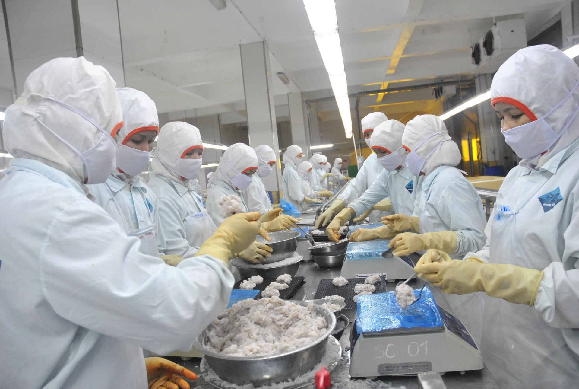 Nước mắt những “đời tôm”, “phận cá” Nước mắt những “đời tôm”, “phận cá”