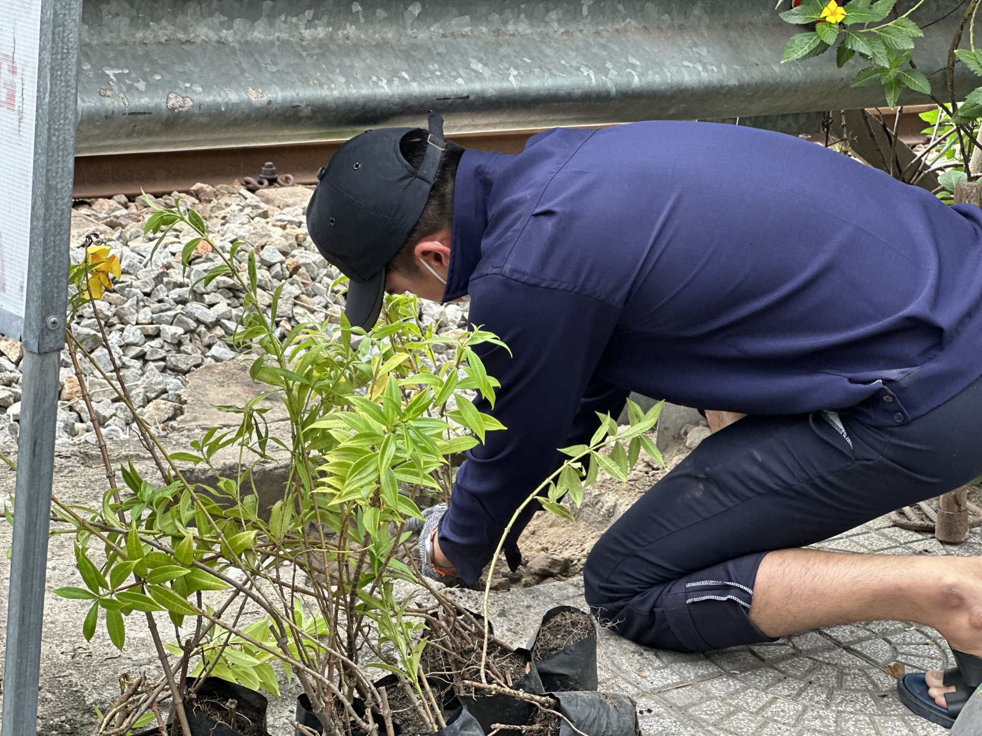 Hàng chục công nhân, người lao động ra quân hưởng ứng phong trào “Đường tàu-Đường hoa”