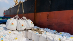 Việc bán gạo của Lộc Trời với Indonesia, Malaysia có thể lên đến 127 triệu USD/hợp đồng