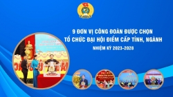 9 đơn vị được chọn tổ chức đại hội công đoàn điểm cấp tỉnh, ngành