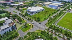 Một ngân hàng bán hạ giá tài sản thế chấp của một hoa hậu