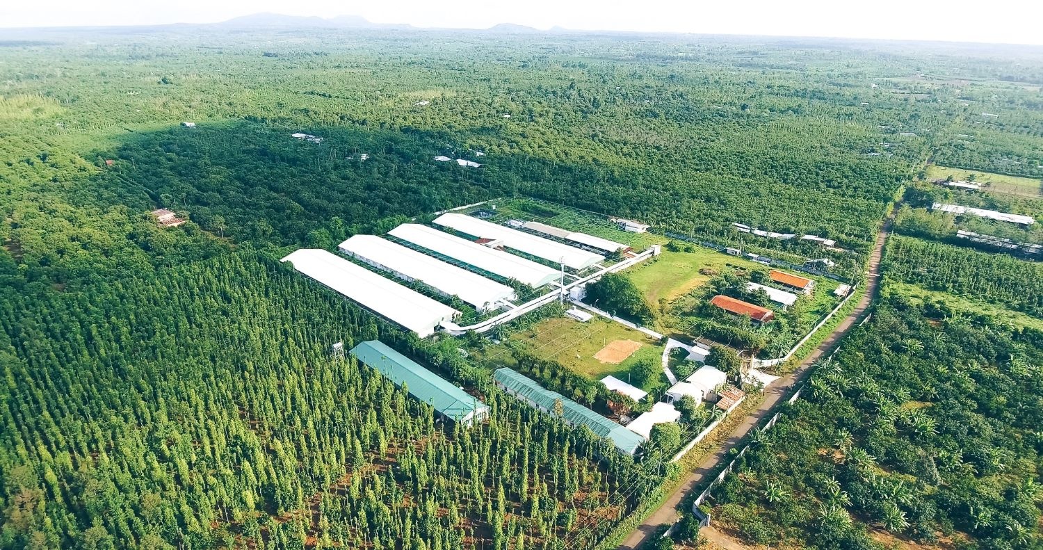 Nông nghiệp - nông thôn và các đô thị loại 2 chính là một trong các phân khúc chiến lược, có sức hấp thụ tín dụng tốt và đầy tiềm năng - Ảnh: VGP/LN